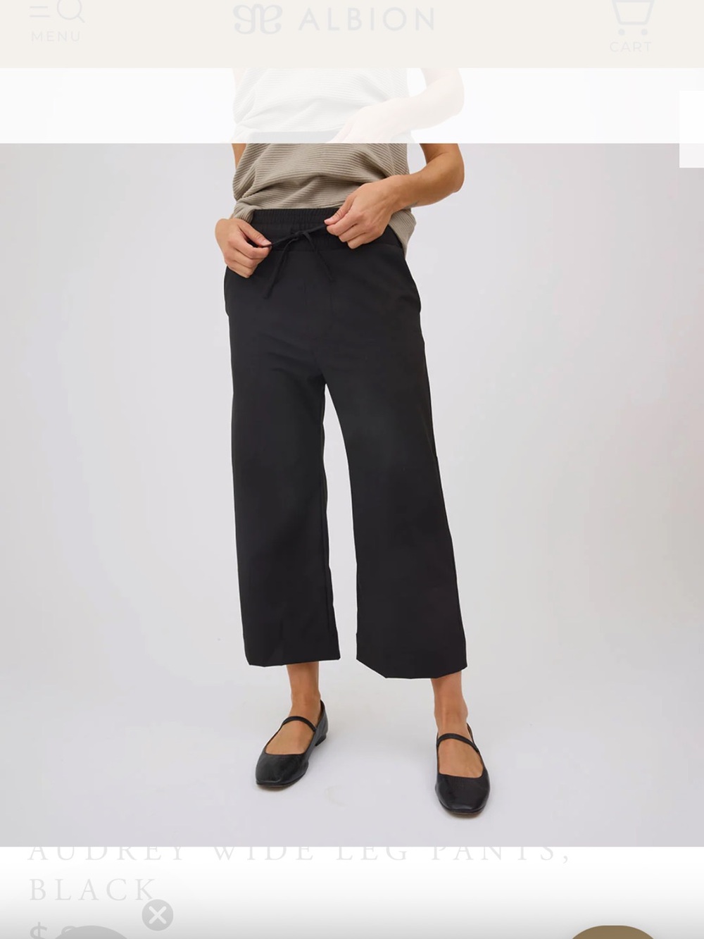 Albion Audrey Wide Leg Pants